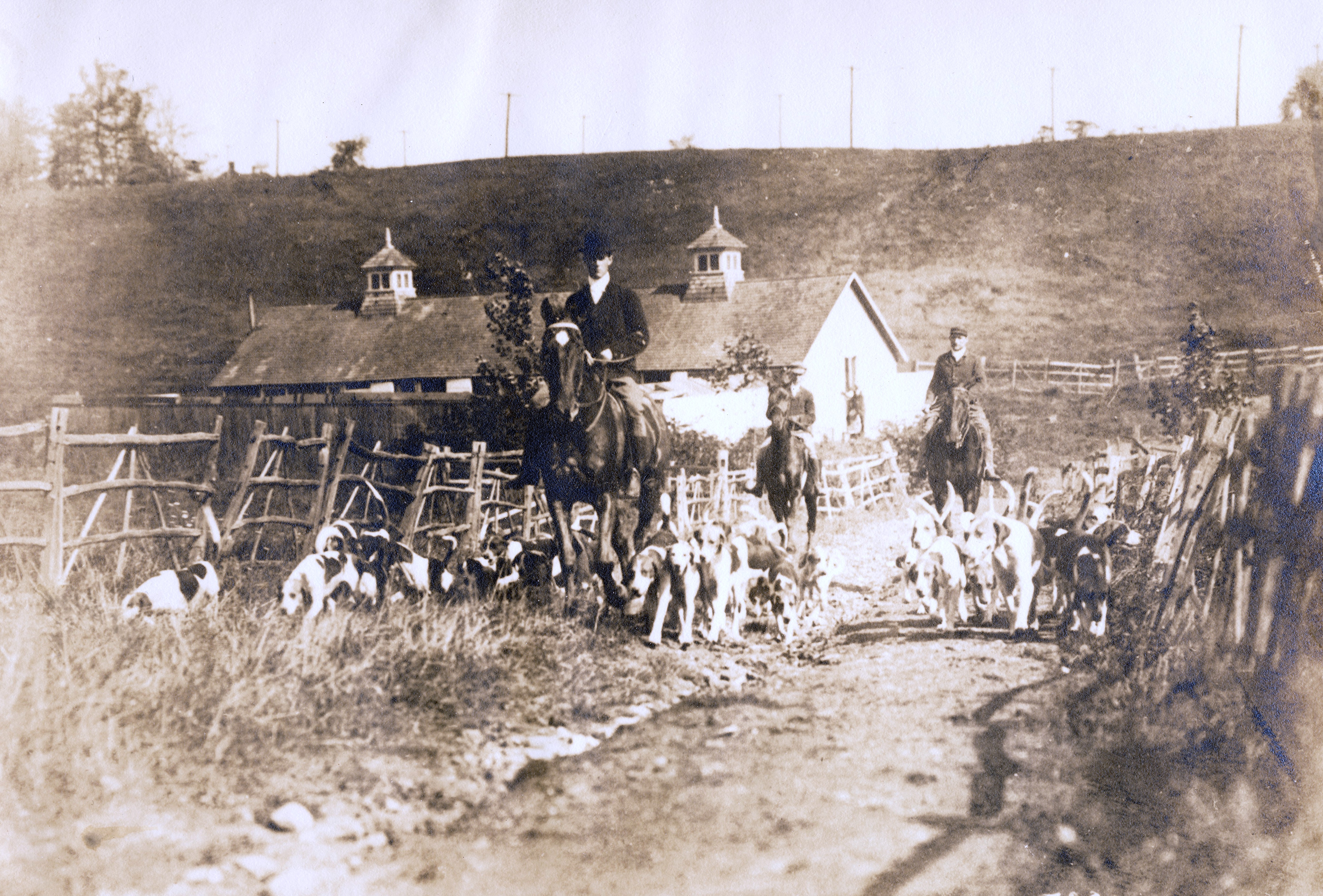 1900c horse hound run -169