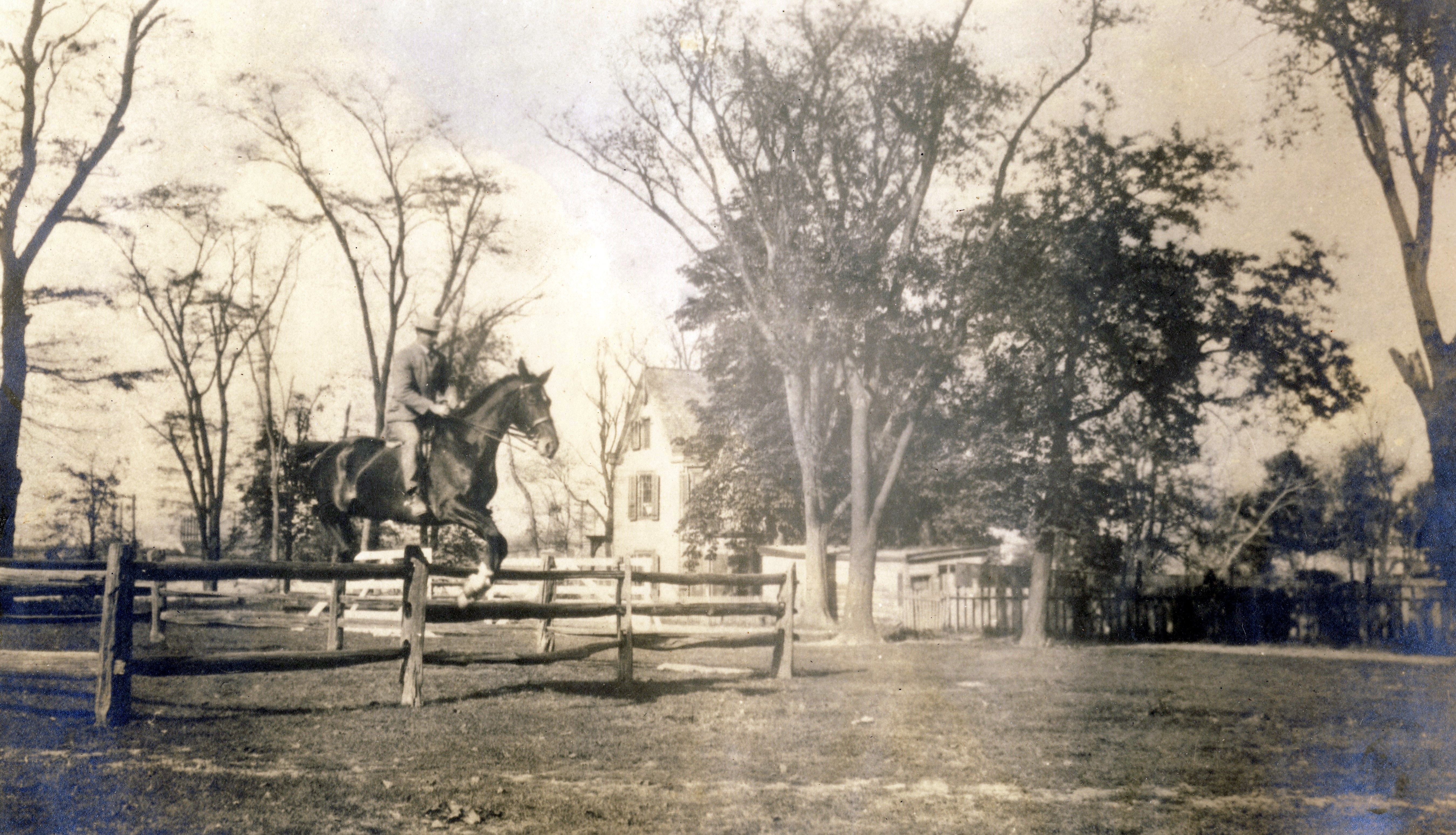 1900c horse jump