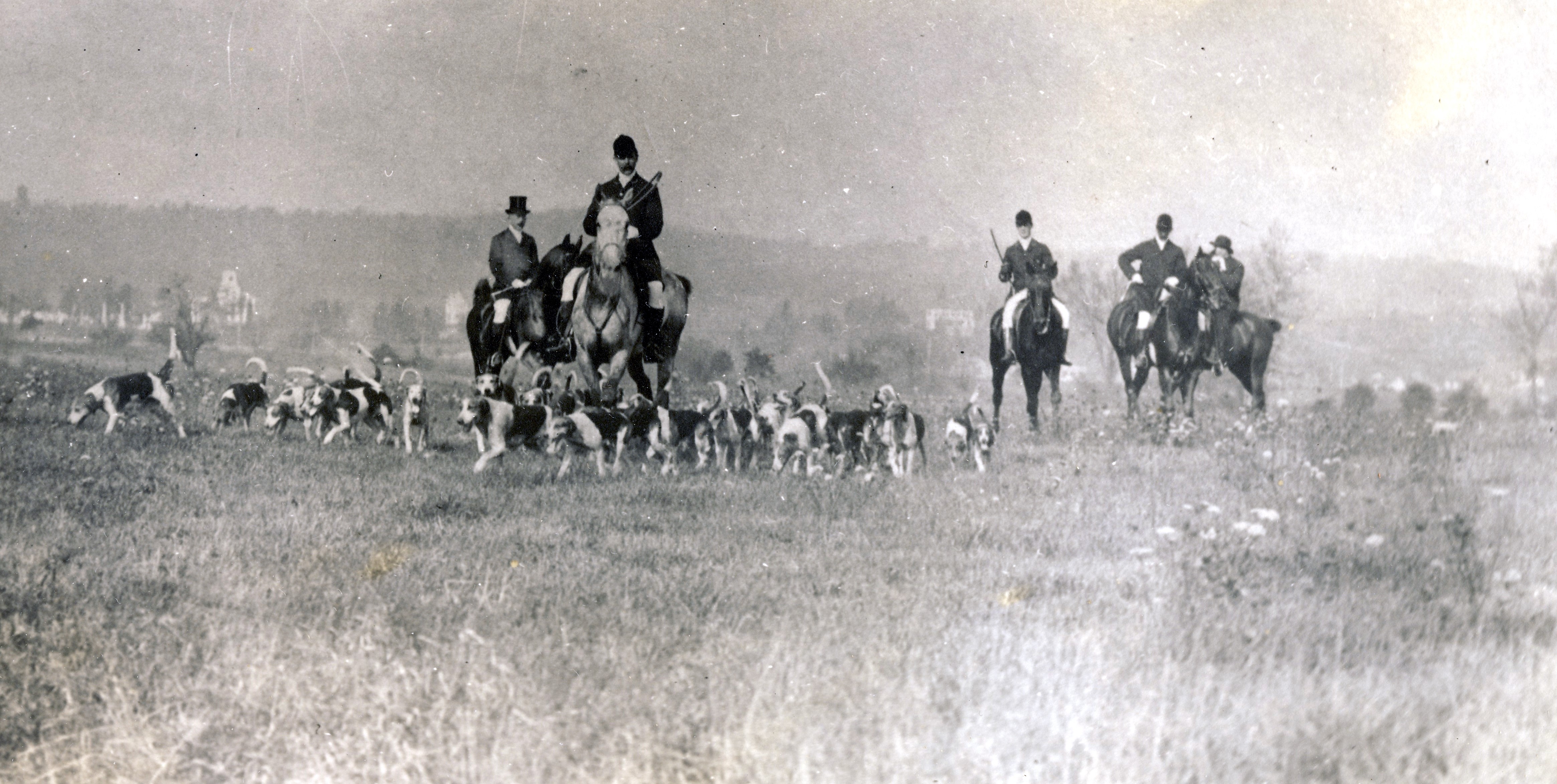 1900c Hart horse hound run